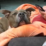 Ann Switzer - @annabel_the_aunt - Instagram