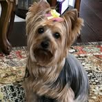 Ann Tabor - Facebook