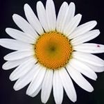 Ann Tabor - @anntabor2 - Instagram