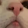 akky - @anntaft - TikTok