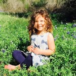 Ann Taft - @taftann - Instagram