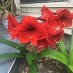 Ann Taft - @ataft_22 - Instagram