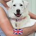 Ann Taft - Facebook
