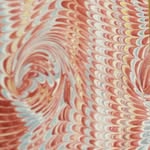 Ann Tardiff - @anntardiff - Instagram