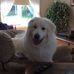 Ann Therrien - Facebook