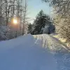 Ann Therrien - @ann.therrien - TikTok