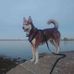 Annie Therrien - Facebook