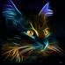 Ann Thornton - Facebook