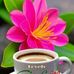 BJ Ann Tadle - Facebook