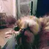 Anne Toby - @anne.toby - TikTok