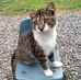 Ann Tolbert - Facebook