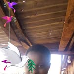 Ann Tosh - @ann.tosh.543 - Instagram
