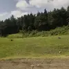 anntosh - @kihigzo - TikTok
