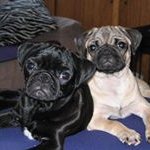 Ann Trapp - @ann.trapp - Instagram
