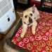 Anne Trimble - Facebook