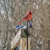 Ann Tull - @ann.tull - TikTok