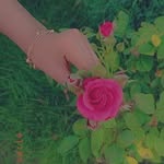 𝔄𝔫𝔫-𝔱𝔲𝔩𝔩-𝔥𝔞𝔶𝔶𝔱 - @anntullhayyat - Instagram