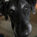 Ann Tupper Bearden - Facebook