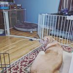Courtney Ann Vandermeer - @courtneyv1983 - Instagram