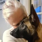 Taxi_thesardog - @annvenne - Instagram