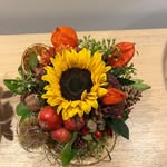 Ann Vertriest - @vertriestann - Instagram