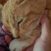 Ann Vickers - Facebook
