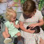 Ann Vickers - @ann.vickers11 - Instagram