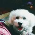 Ann Vickers - Facebook