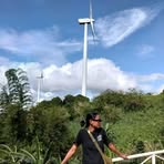 Ann Vigo - Facebook