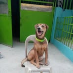 Ann Vigo - Facebook