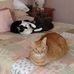 Anne Vitale - Facebook