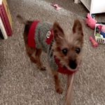 Ann Waddell - @msboticelli - Instagram