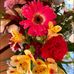 Anna Waddell - Facebook