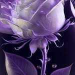 Felicia Ann Waddell - @annwaddell47 - Instagram
