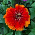 Ann Walkup - Facebook