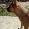 Ann Wallace - @ann.wallace20 - TikTok