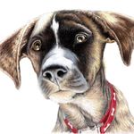 Ann Wallace - @annwallaceart - Instagram