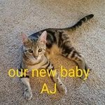 Ann Walls - @ann_walls - Instagram