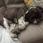 Ann Walter - @ann.walter - Instagram