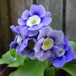 Jane-Ann Walton - @jane_ann_walton - Instagram