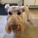 Ann Warren - @annwarren2689 - Instagram