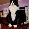 Anna Lindwasser - @anna.lindwasser - TikTok