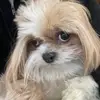annabelle - @annabellewasser - TikTok