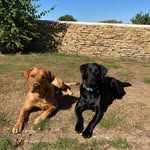 Ann Waters - @annwaters13 - Instagram