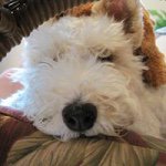 Ann Waters - @watersann - Instagram