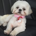 Ann Waters - @annieblanksby - Instagram
