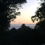 Ann Wathen - @montanamonterey - Instagram