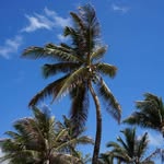 Ann Dunn Watry - @watryann - Instagram