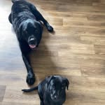 Ann Watt - @annwatt63 - Instagram