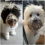 Tracy-Ann Watterson - @tracyannwatterson - Instagram